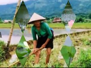 CÔNG ƠN CHA MẸ (13) ĐĐ THÍCH GIÁC THIỆN Biên Soạn