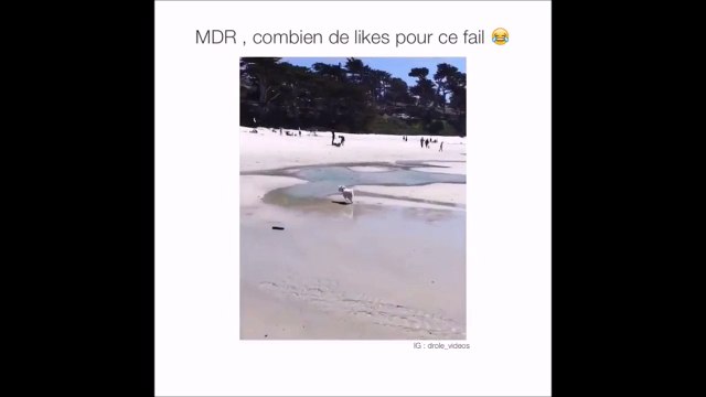 Ce pauvre chien n'a pas vu que l'eau était profonde.. FAIL hilarant