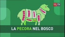 La Pecora nel Bosco - Alessandro Cozzolino - 14 giugno 2016