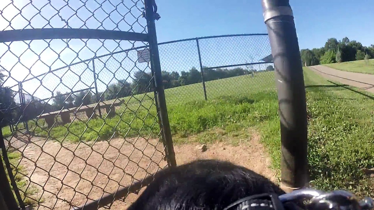 Vivez la vie de chien au Parc avec cette GoPro sur les épaules - Margot at the Dog Park