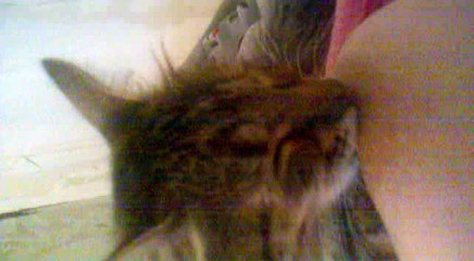 Эффа - GANGNAM STYLE (Official Music Video) 🎶