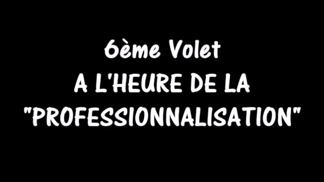 [Esquisse d'une Histoire, 6ème volet] A L'HEURE DE LA PROFESSIONNALISATION (2016)
