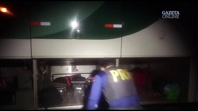 Cão farejador encontra drogas em malas de ônibus interestadual