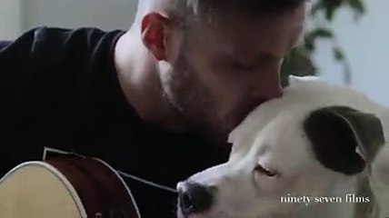 La police veut tuer cet adorable chien pour une raison totalement ridicule