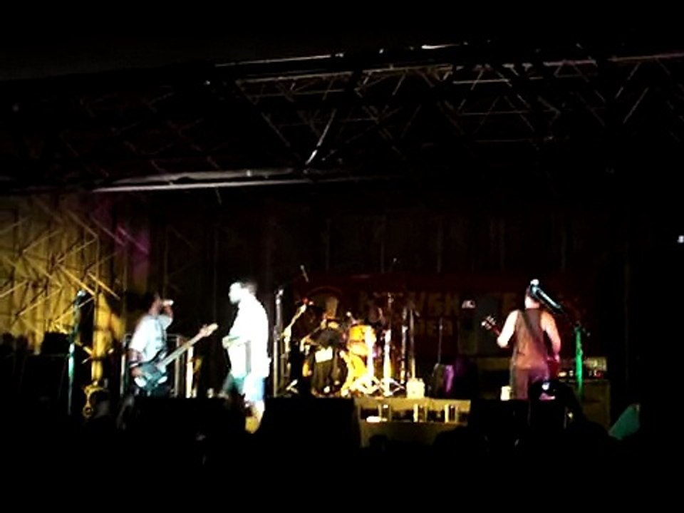 Dead Fish em Floripa _- AFASIA