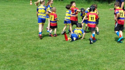 Petrovice Pulci x rugby Sparta  | u8 | 5.6.2016 turnaj Babice