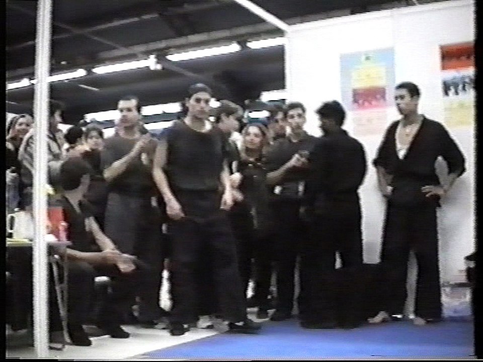 Ecole du tigre volant Démonstration de kung-fu taichi au Salon des Arts martiaux Parc floral Paris- Partie 2.