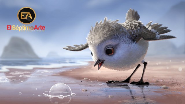 Piper - Adelanto del cortometraje (HD)