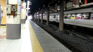 快速足利藤まつり1号　上野駅到着　2010-04-24
