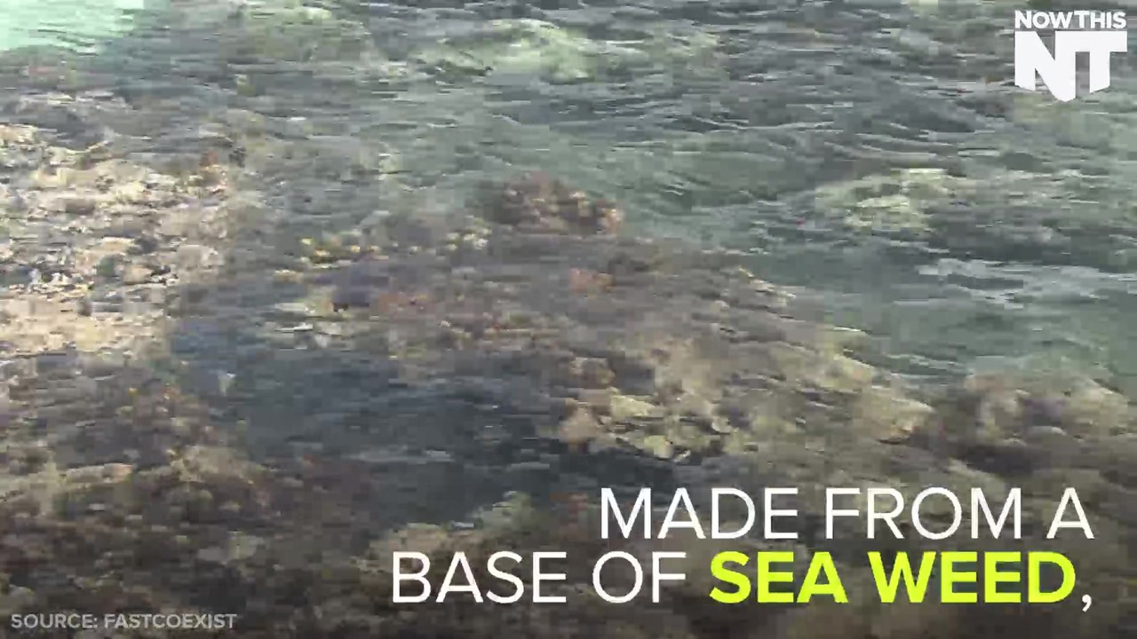 Edible Cups Are Tasty And Eco-Friendly