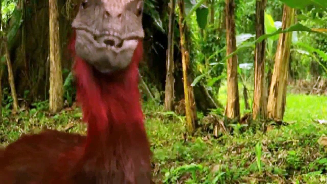 Daddy Finger 3D Dinosaurs Family #Peppa Pig #Crying #Shit #Nursery Rhyme #Laugh