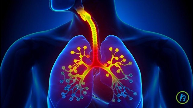 What is COPD? (Chronic obstructive pulmonary disease)