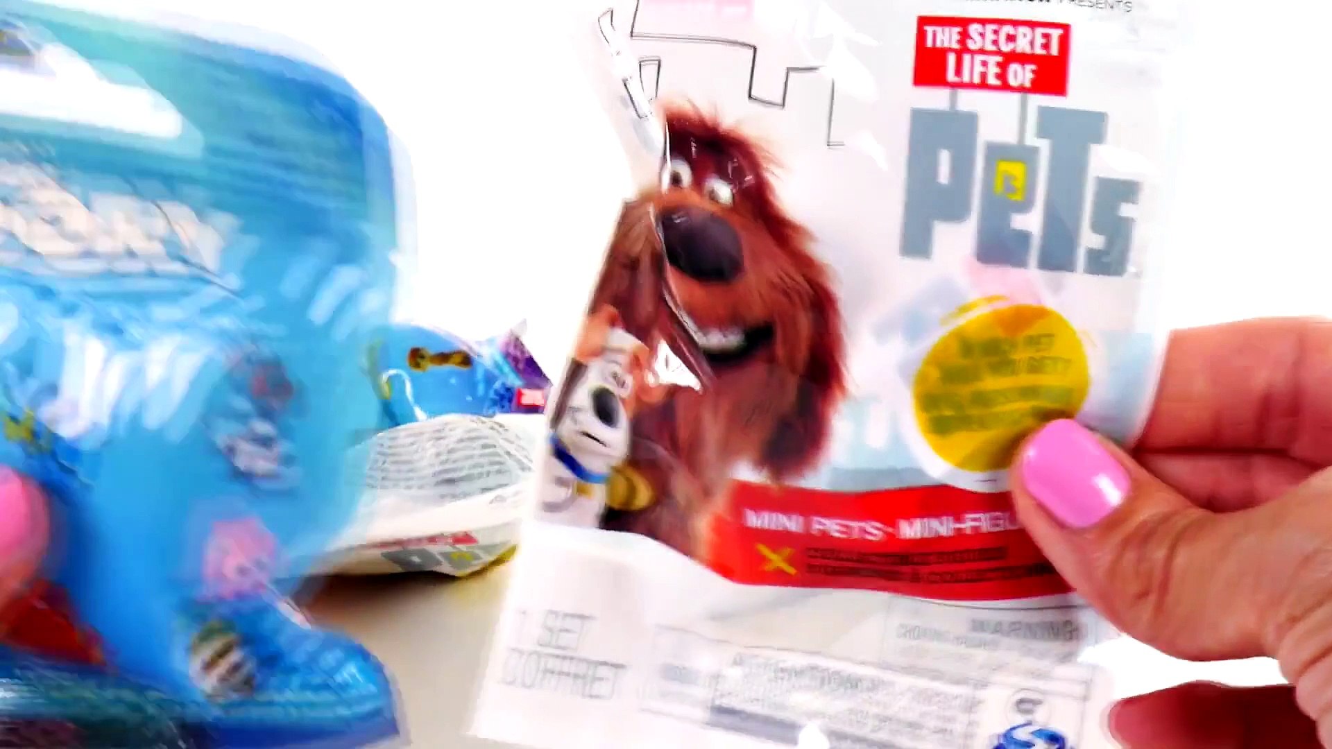 ⁣Finding Dory Secret Life of Pets Blind Bags Surprise Toys - Amy Jo DCTC