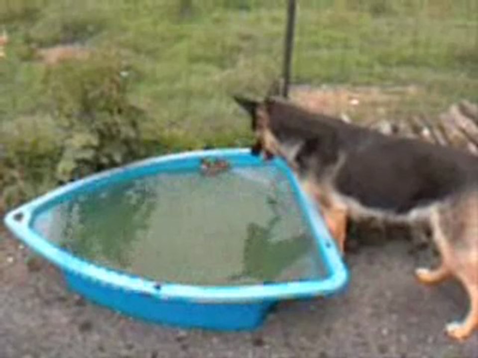 1er bain