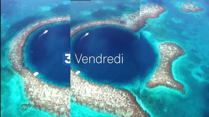 Et si on sauvait la mer - Thalassa (bande-annonce