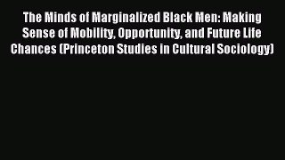 Read The Minds of Marginalized Black Men: Making Sense of Mobility Opportunity and Future Life