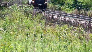 CN Track inspector tooling by in his Hy-rail 7/25/10 on the old IC Iowa Div. near MP 77