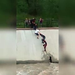 Guardate Come Un Gruppo Di Persone Riesce A Salvare Un Cane Un Minuto Prima Che Anneghi