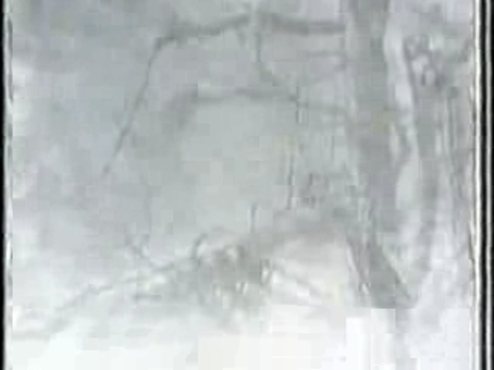 Simon & Garfunkel - Hazy Shade of Winter