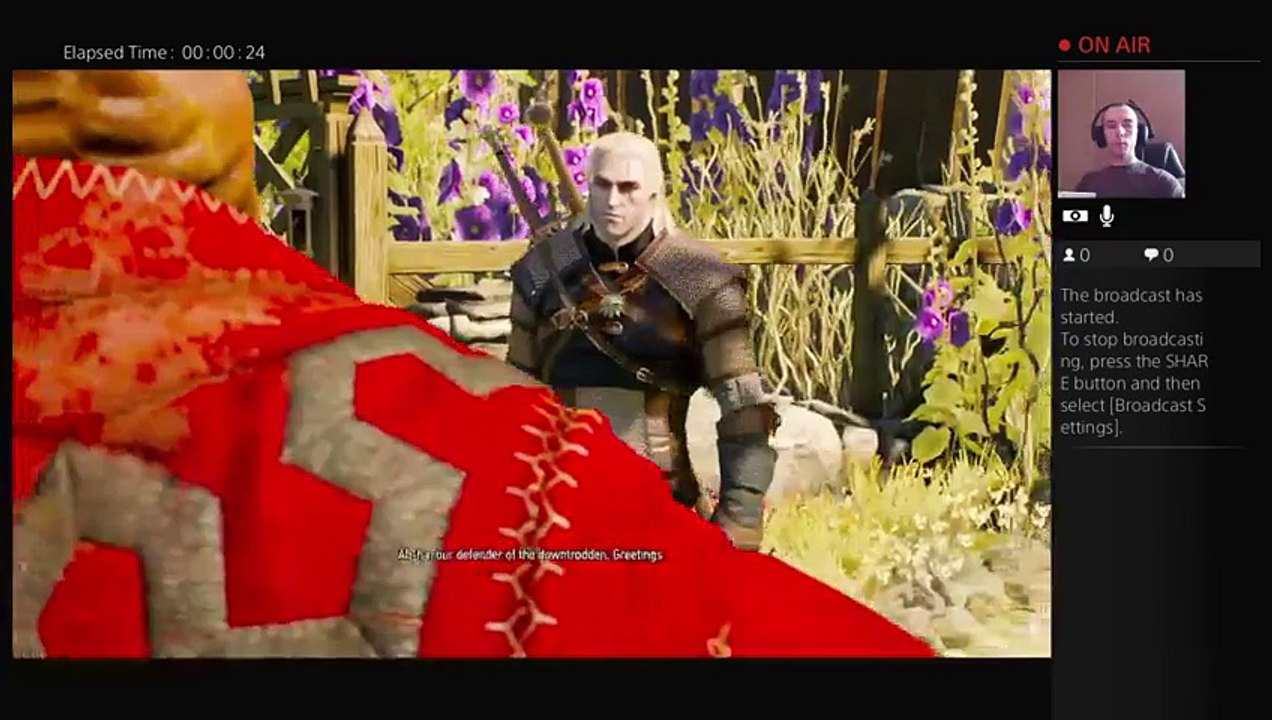 Witcher 3 (40)