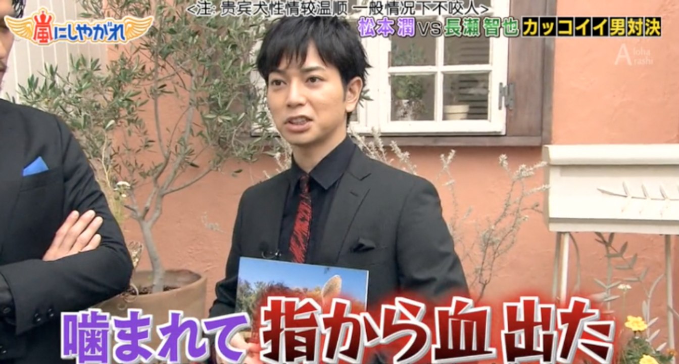 Animal Don't Like Jun [ENG SUB]