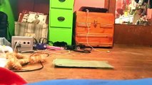 Preparing One military MRE (Meal ready to eat) time lapse