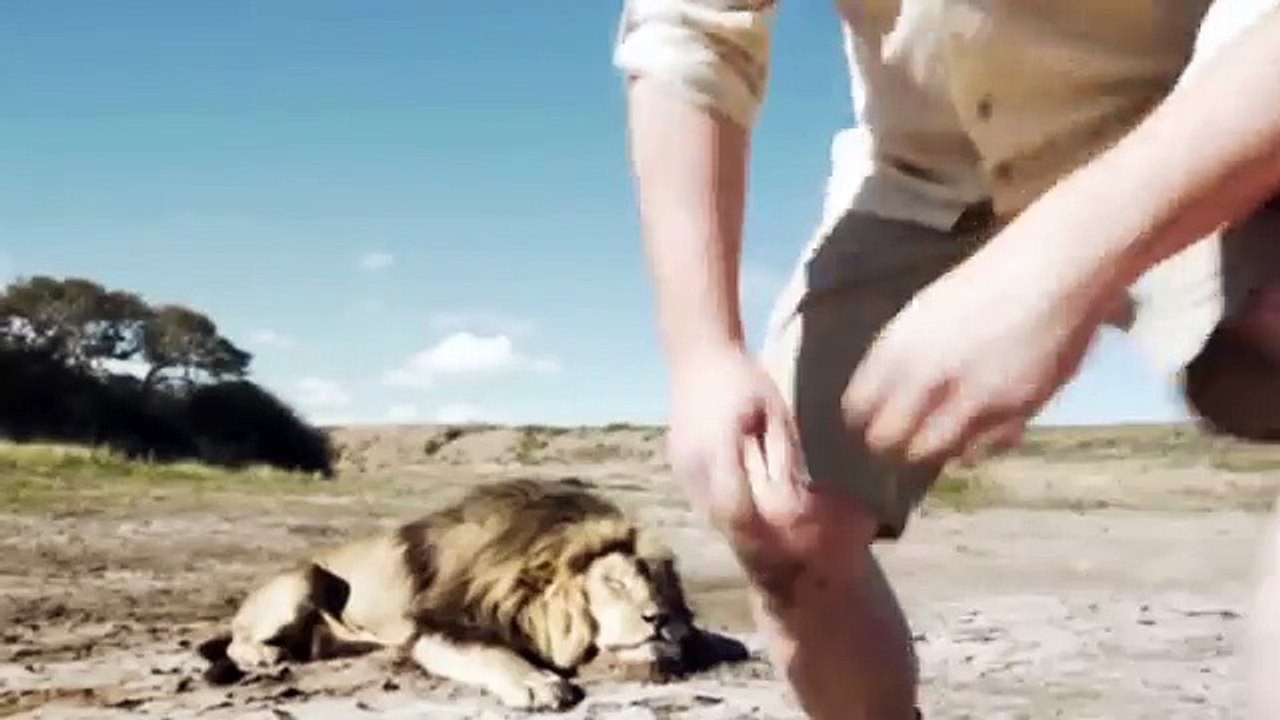 Un couple de chasseurs pose avec un lion mort