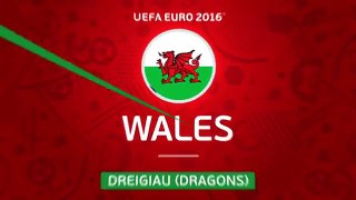 Wales at UEFA EURO 2016 in 30 seconds