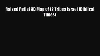Download Raised Relief 3D Map of 12 Tribes Israel (Biblical Times) E-Book Free