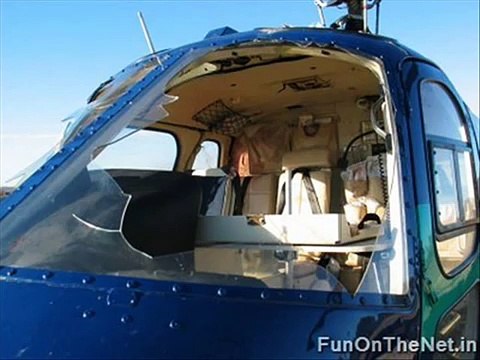 Birds which caused Planes Crash