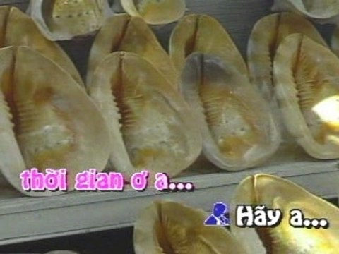Tinh bo vo - Chi tam,Huong lan