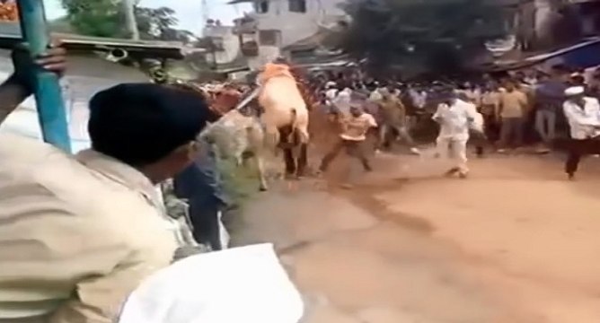 Le saut incroyable d'un taureau qui passe au-dessus d'un homme