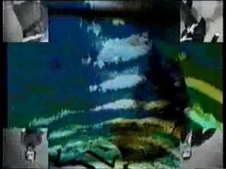 MTV ID - Announcing The Latest Acheviement