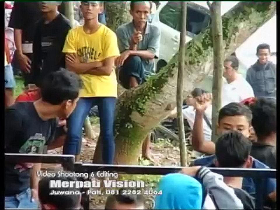 Sayang    Nasa Aqila KUBOTA - GULANG PONGGE  - 2016 MERPATI VISION