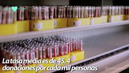 Dona sangre, dona vida