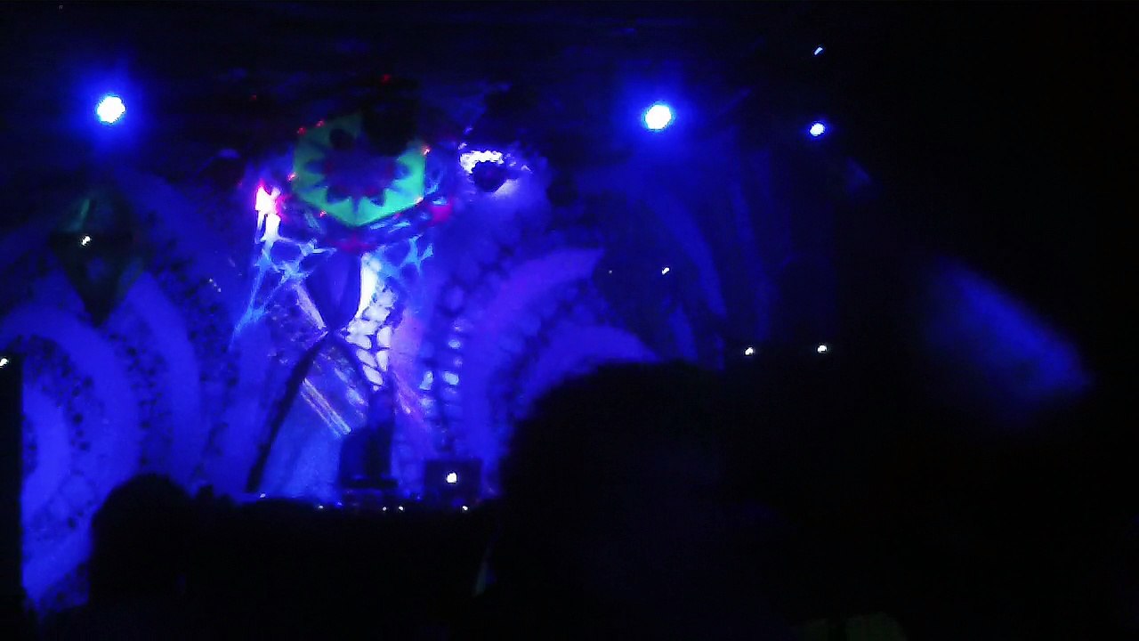 Principles of Flight - 3@Nataraja Psychedelic Gathering