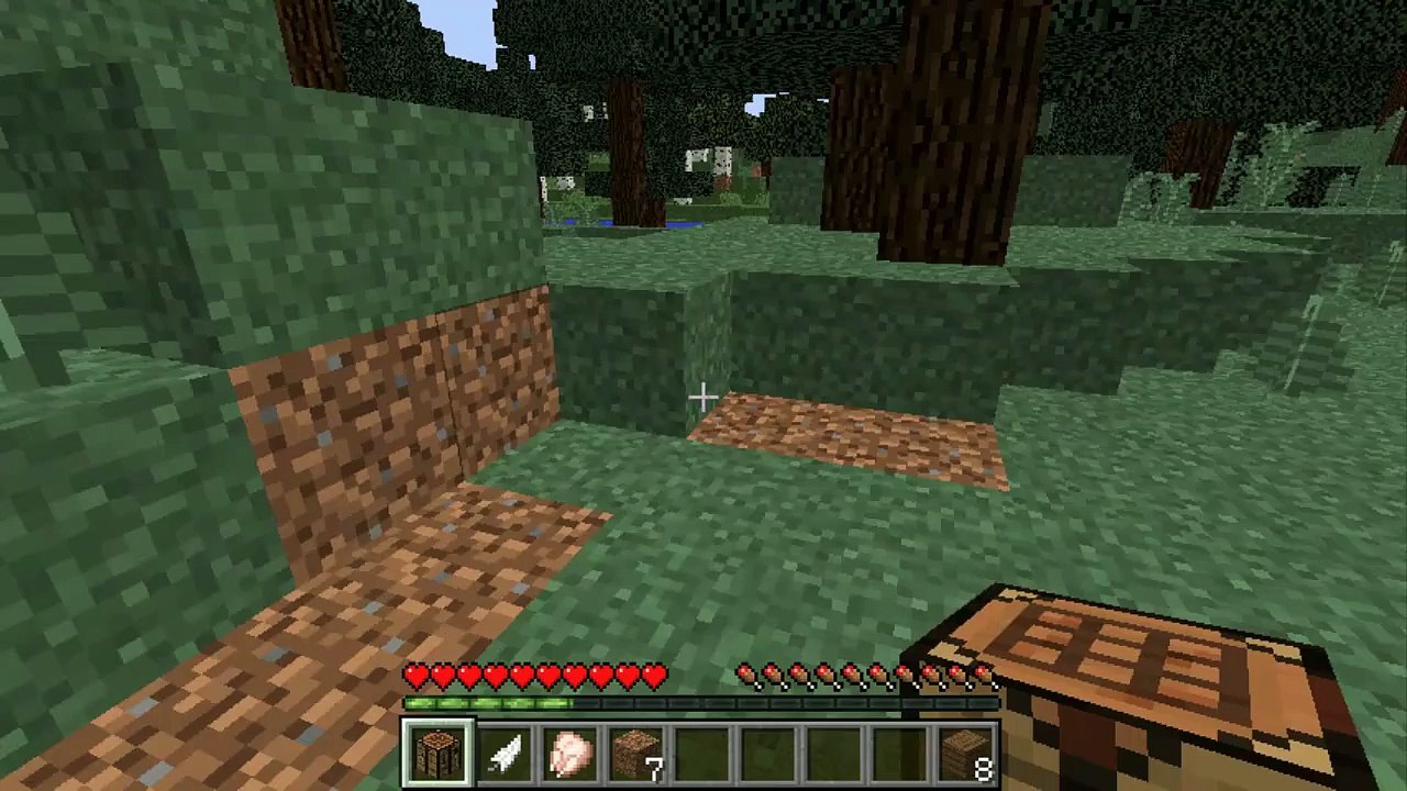 If *ONLY* kids made Minecraft videos!