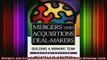 READ book  Mergers and Acquisitions DealMakers Building a Winning Team Full EBook
