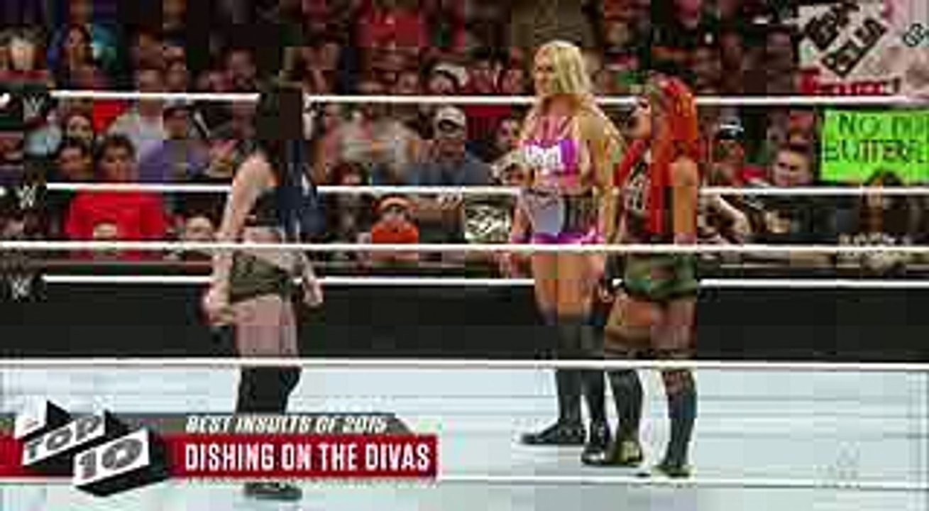 Top 10  Best Insults of 2015- WWE