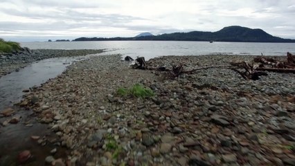 One Big Happy Biomass: Sitka, Alaska