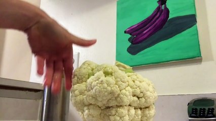 Blanket Fort 1- The Brassica Bulletin