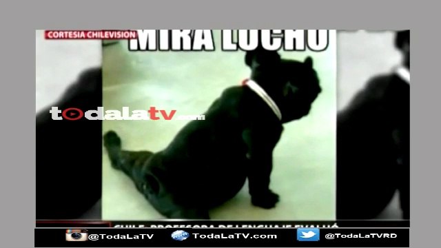 Profesora usa memes para calificar a sus estudiantes-Mas que noticias-Video