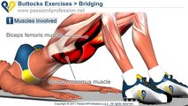 Exercise BEST Tone Buttocks - Reduce buttocks and thighs with Bridging