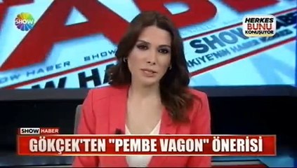 Jülide Ateş'ten Gökçek'e Pembe Vagon Tepkisi: Ayıptır, Günahtır