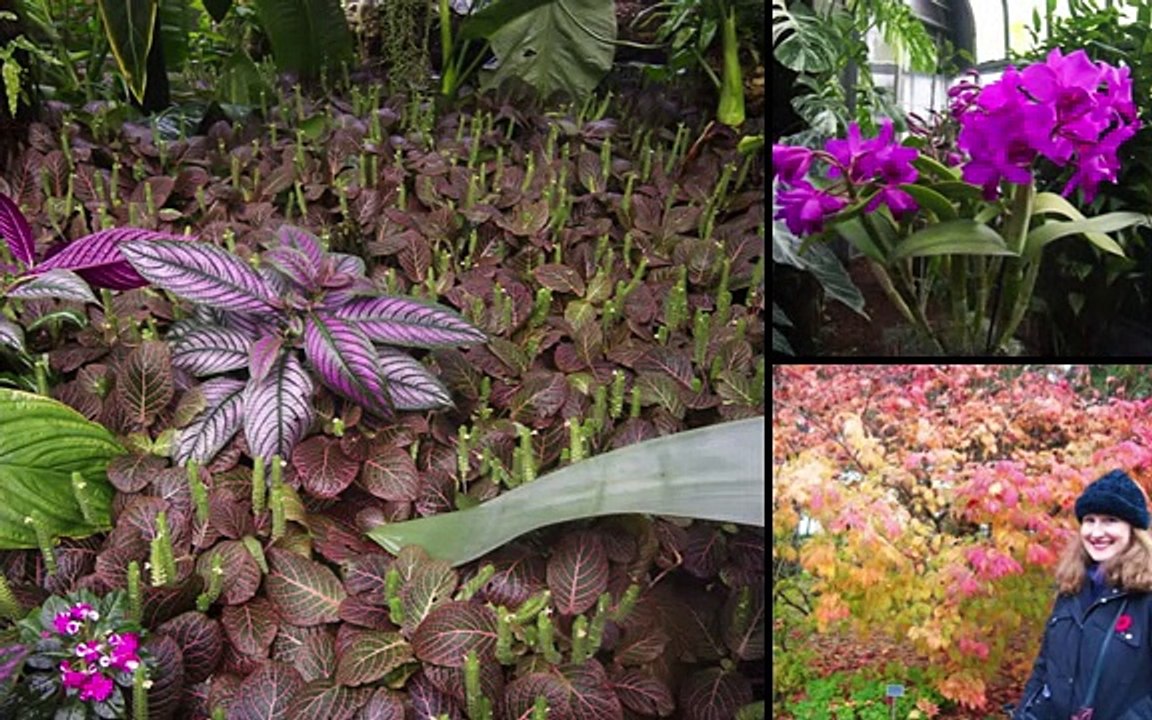 Botanical Garden October 29, 2013