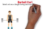Barbell Curl Exercise Tips