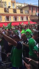 Northern Ireland Will Griggs on fire Euro 2016