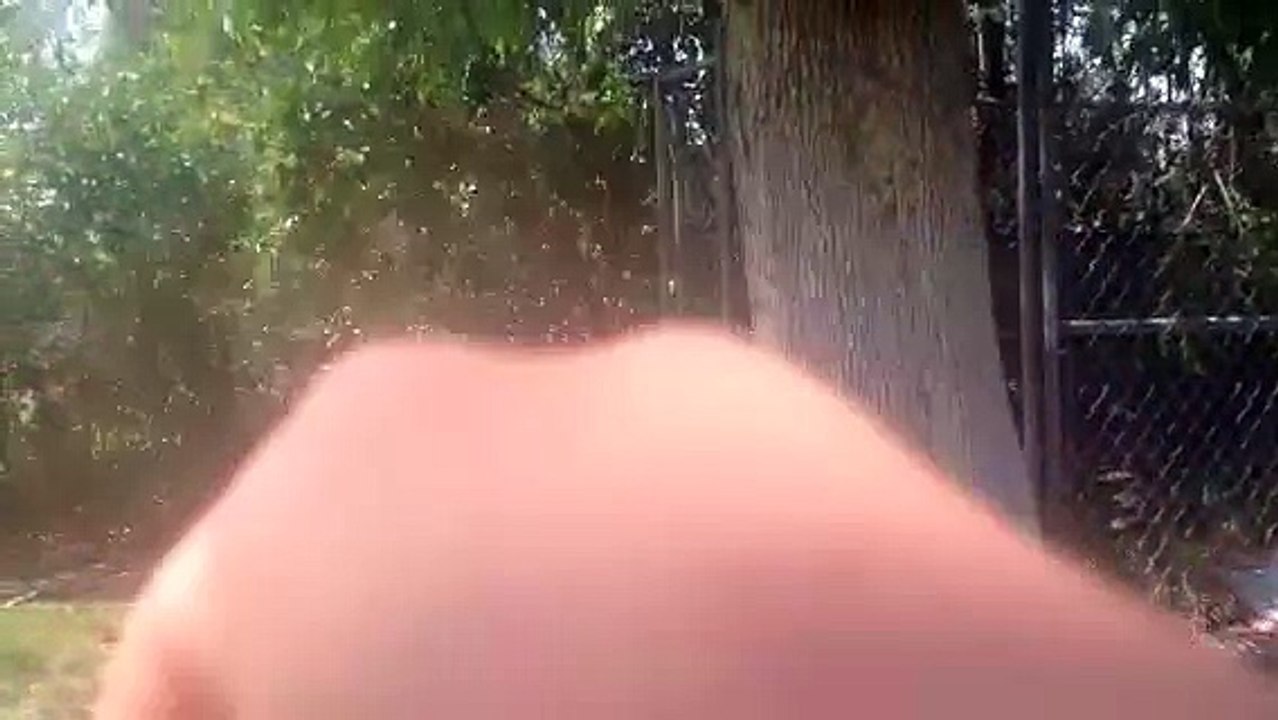 Real Life Minecraft