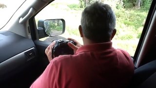 NOPE: Bear Opens A Door To A Tourist’s Car
