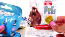 Finding Dory Secret Life of Pets Blind Bags Surprise Toys - Amy Jo DCTC